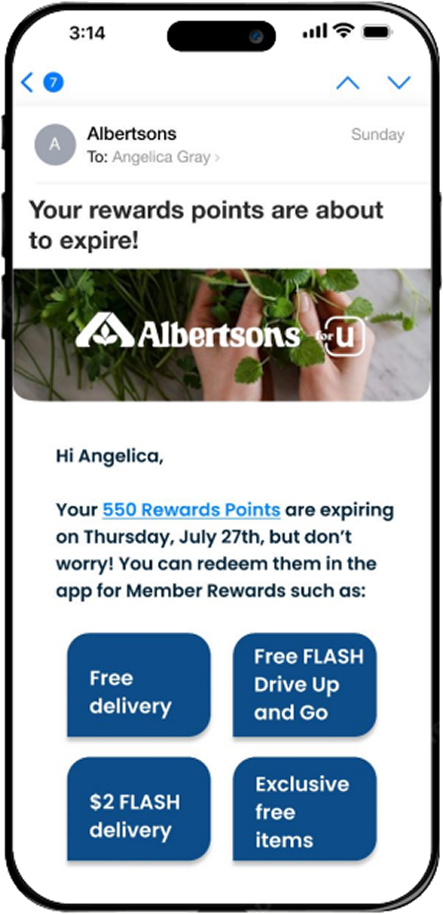 Email reminding members their rewards points are expiring